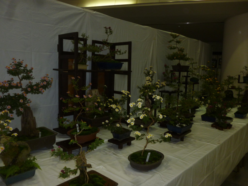 町民文化祭＆わんわんパトロール隊 