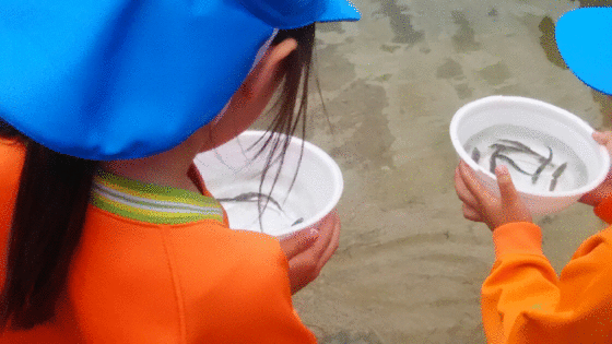 アユの稚魚放流と自衛隊防災研修