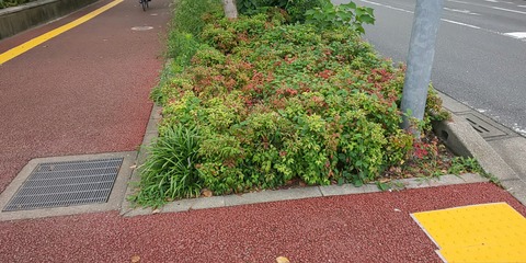 これ！真似したい