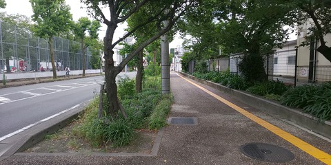 これ！真似したい